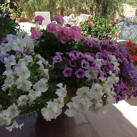 Bed & Breakfast La Casa De Piedra Viladellops